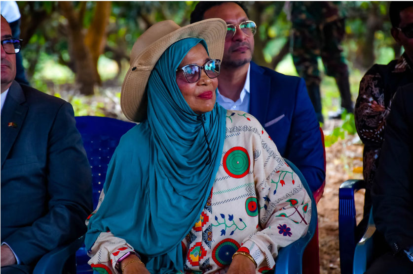 Premium Mango Seedling 1