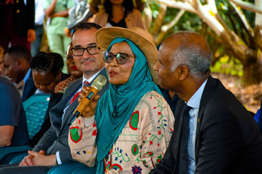 High-Quality Mango Sapling