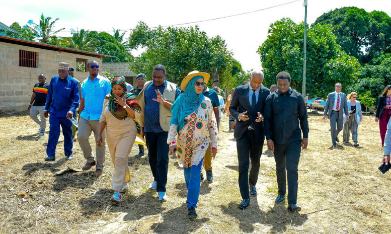 Mango Plantation Sample