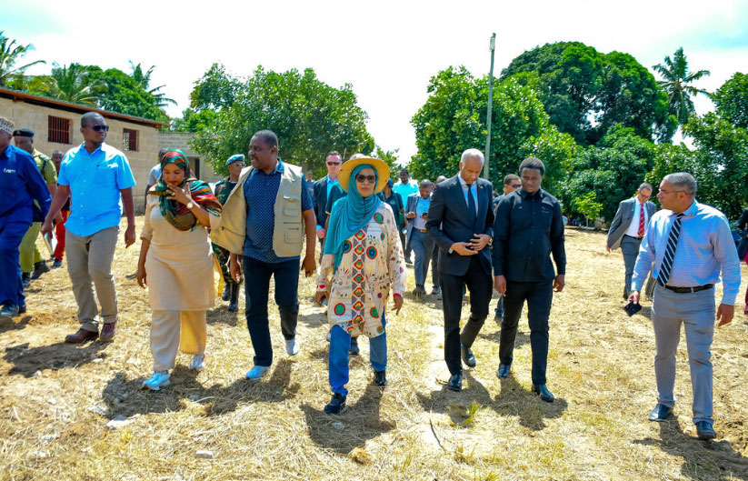 Fresh Nursery Mango Plant