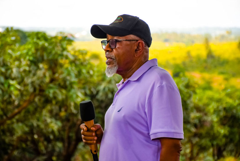NatureRipe Mango Seedlings