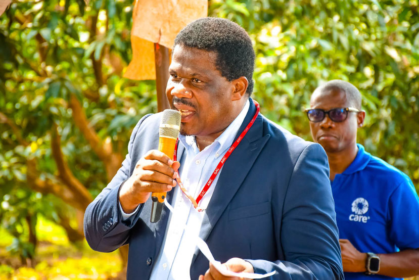 Mango Sapling Close-Up