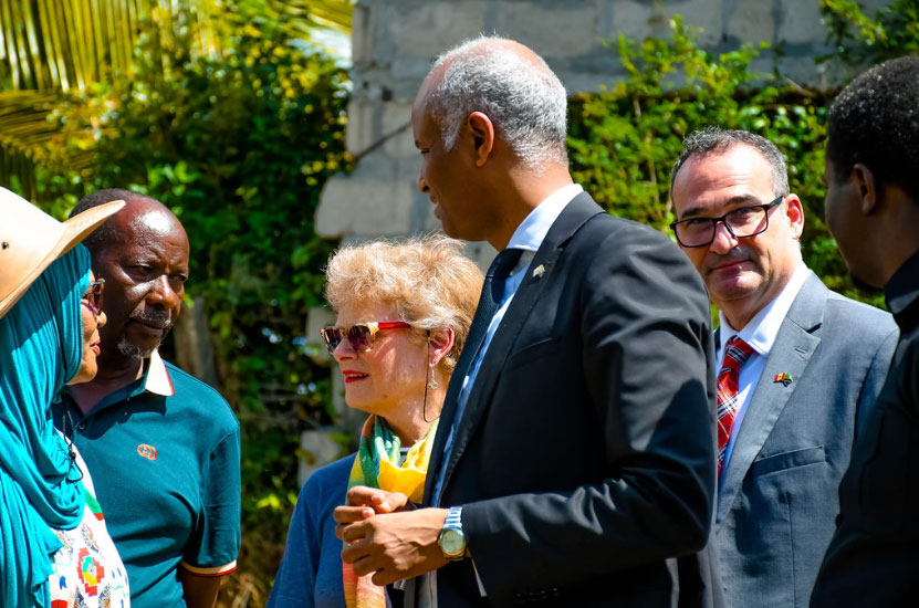 Organic Nursery Fruit