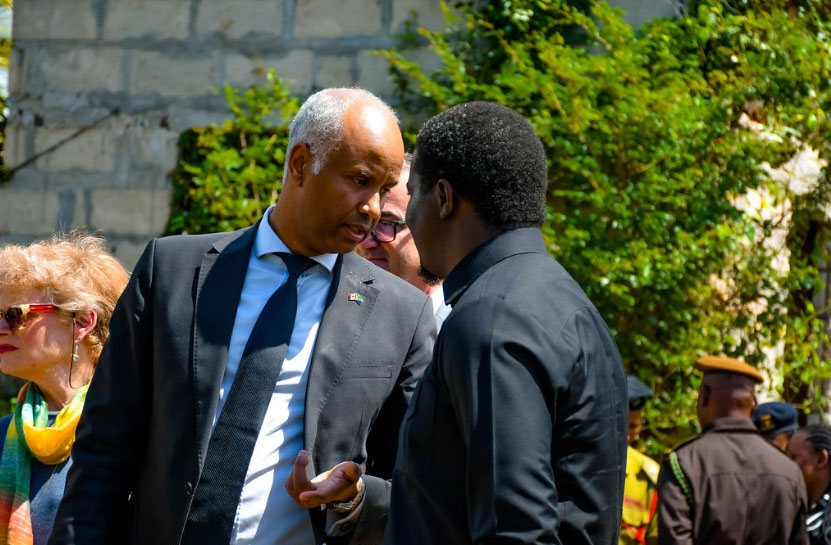 Tropical Mango Seedling Nursery