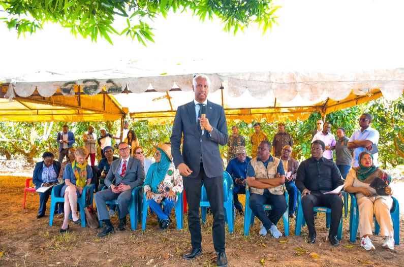 NatureRipe Tree Starter