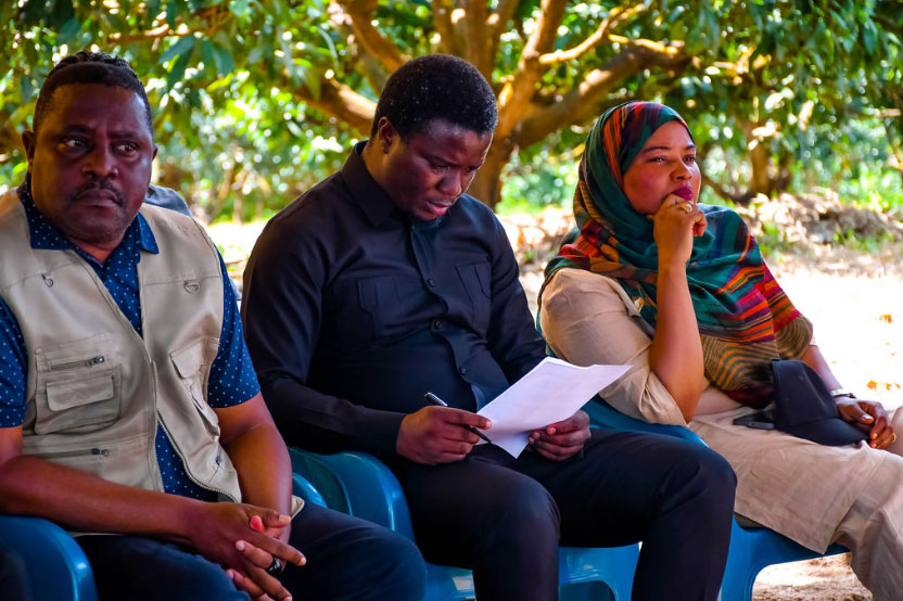 Mango Nursery Variety
