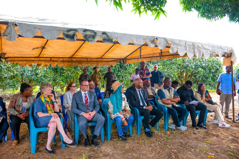 Horticulture Seedling Selection