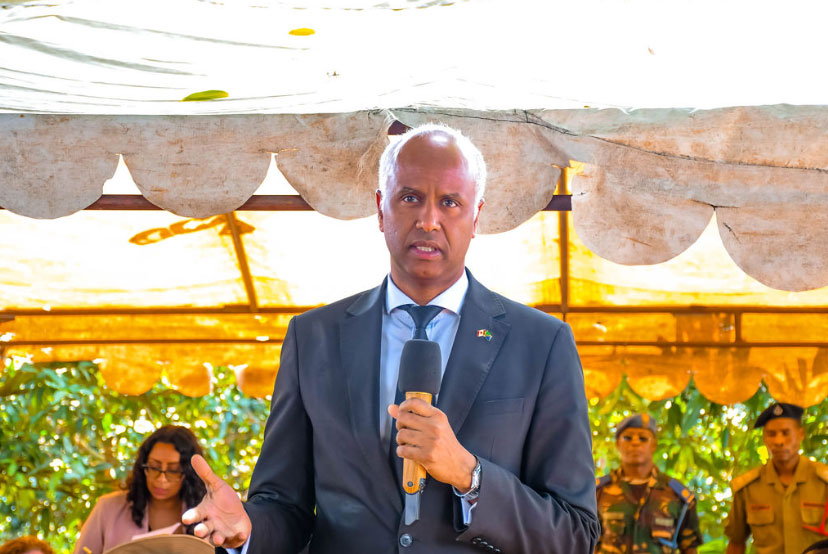 Mango Nursery Product